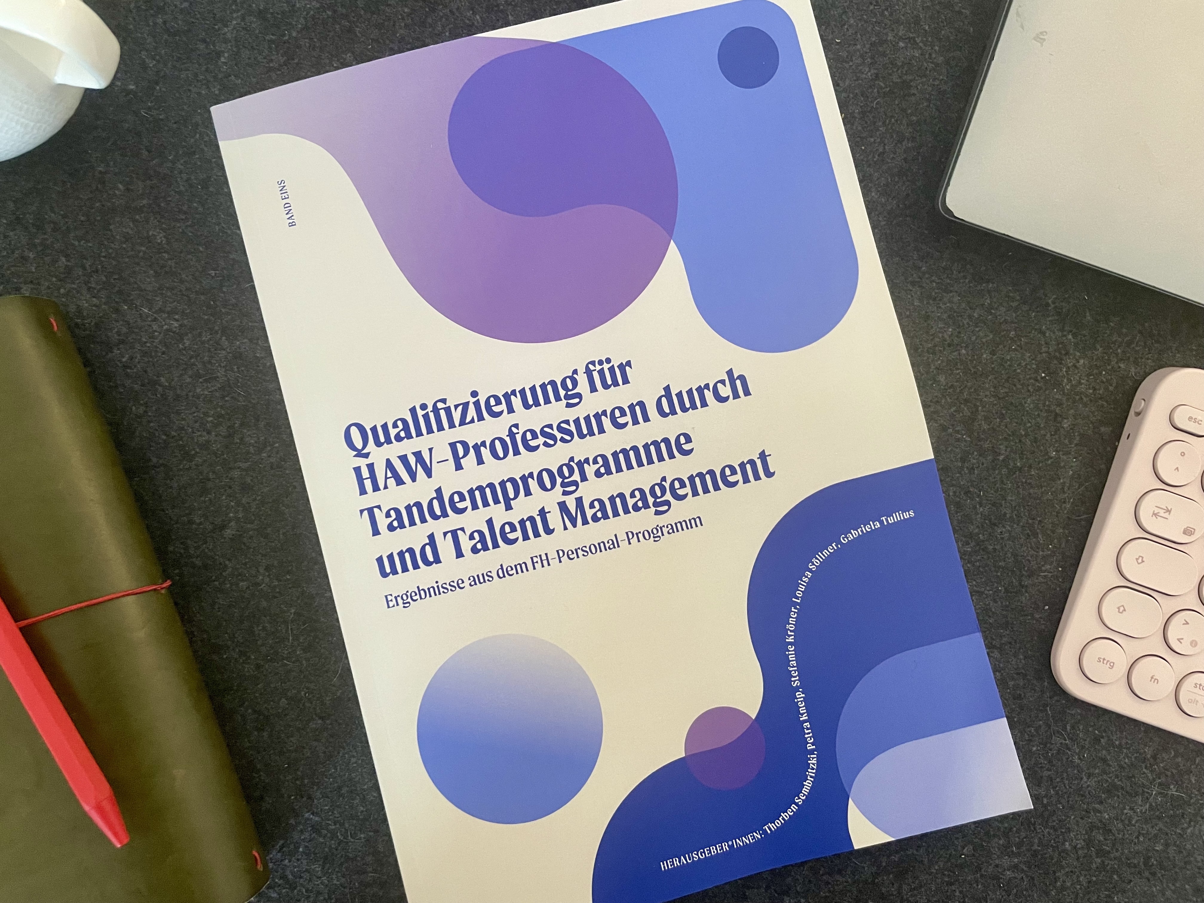 Qualifizierung für HAW-Professuren durch Tandemprogramme und Talent Mangement