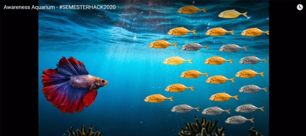 2020-05-28_Hackathon_Awareness_Aquarium.jpg
