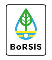 Das Bild zeigt das Logo des Projekts BorSiS
