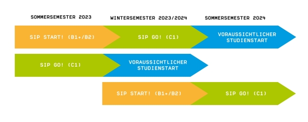 Grafik über den Programmablauf